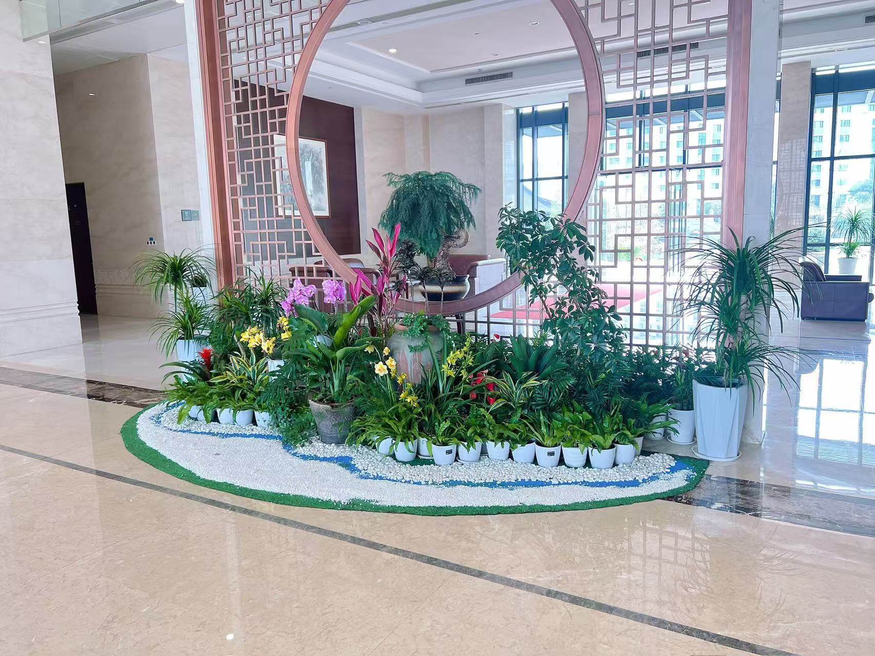 探秘杭州湾植物租赁，解锁空间绿植焕新的秘密！